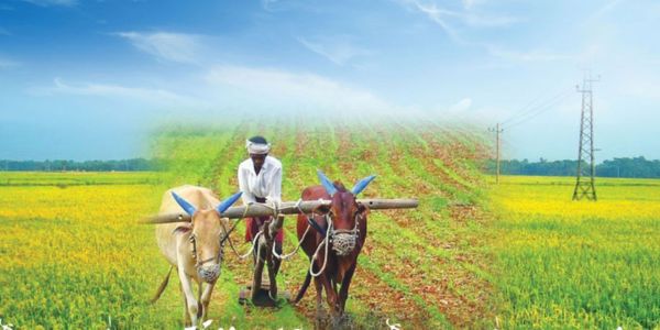 পেকুয়ায় তিন দিনব্যাপী কৃষি মেলা উদ্বোধন